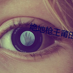 绝地枪王莆田工程师