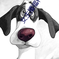 女主播福利