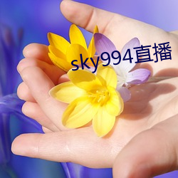 sky994直播