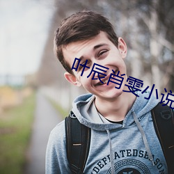 叶(yè)辰肖雯小说