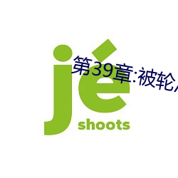 第39章(zhāng):被(bèi)轮/J了2