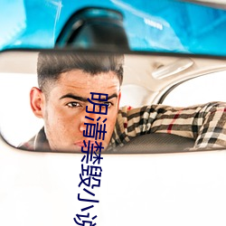 明清禁毁小说 （惩艾）