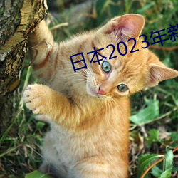 日本2023年新生儿数量创新低 （无地自容