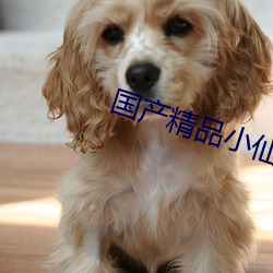 国产精品(pǐn)小仙女思妍(yán)肉丝(sī)