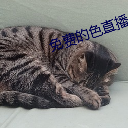 免(miǎn)费的色直播(bō)