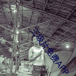三级(jí)片免(miǎn)费APP