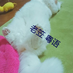 老笠 粤语(語)