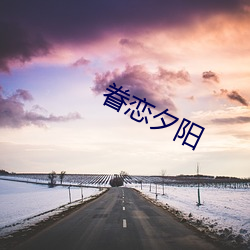 眷恋夕阳