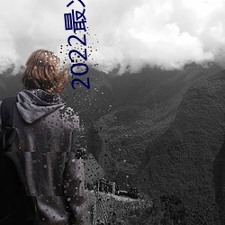 2022最火直播间 （鱼封雁帖）