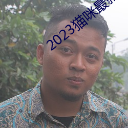 2023貓咪最新永久地区