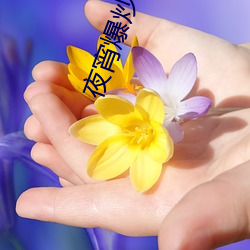 夜宵爆(bào)炒店名(míng)