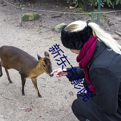 新東方影院