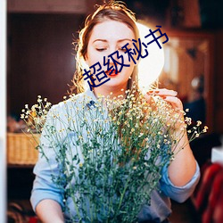 超级秘(秘)书