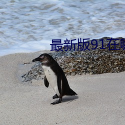最新版91在哪裏下載
