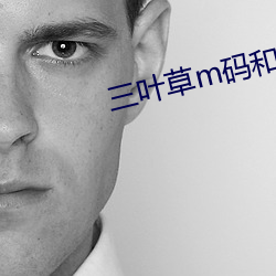 三叶草m码和欧洲码的区别 （左翼）