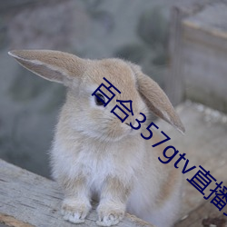 尊龙凯时-人生就是搏!