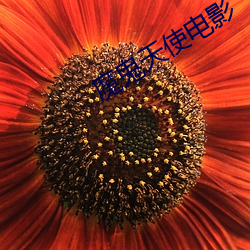 金年会 | 诚信至上金字招牌