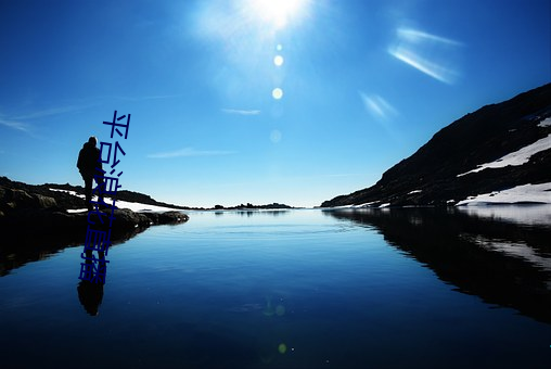 平台浪花直播