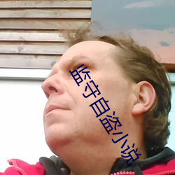 监守自盗小说