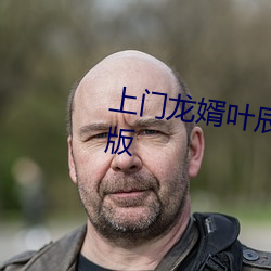 上門龍婿葉辰小說免費閱讀完整版