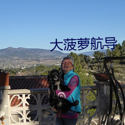 大菠(bō)萝航(háng)导