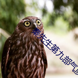 秦先生第九部氣質短發紅酒女在線