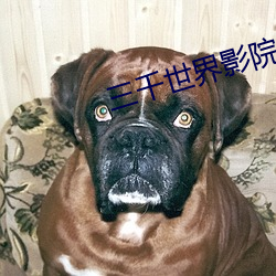 三千世界影院