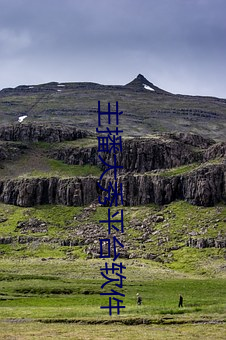 主播大秀平台软件(jiàn)