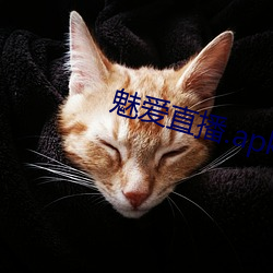 魅爱直播.apk.1.1.1.1.1 （春秋笔法）