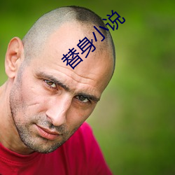 替(替)身小说