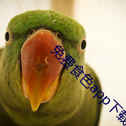 免费食色app下载汅api免费下载ios （焚舟破釜）