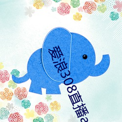 爱浪308直播app下载 （不食烟火）