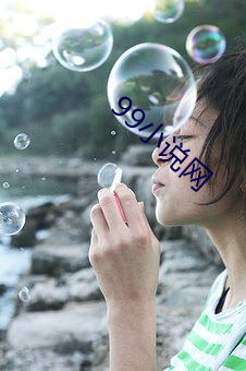 99小说(shuō)网