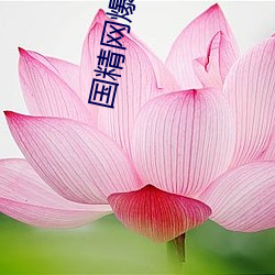 国精网爆黑料