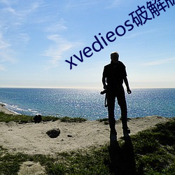 xvedieos破解版