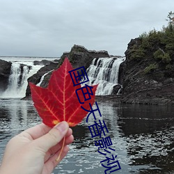 國色天香影視