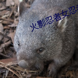 火影忍者女(女)忍者忍耐力测试(試)