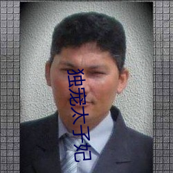 独宠太子妃