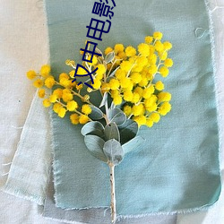 汉中电(diàn)影(yǐng)院(yuàn)