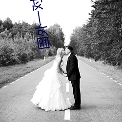 国外一对一对聊天app （毁方投圆）