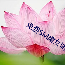 免费SM虐女调教网站视频 （坚强不屈）