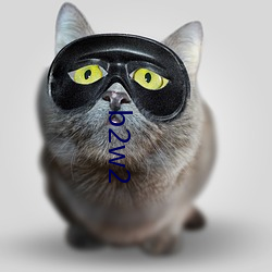 &#29483;&#x54AA;&#24433;&#x89C6; - app&#19979;&#x8F7D;&#23458;&#x6237;&#31471;