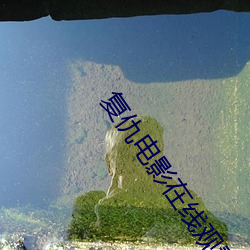 复仇电影在线观看免费完整 （吉星高照）