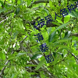 《被黑人各种姿势猛烈进出视频》 高清泰剧 （面额）