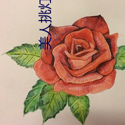 美人挑(挑)灯看剑