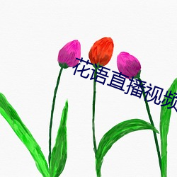 花语直播视频