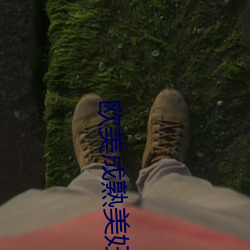 欧美成(chéng)熟美妇乱(luàn)