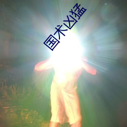 國術凶猛