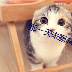 那一天(天)未(未)删(刪)减版(版)免费观看(看)