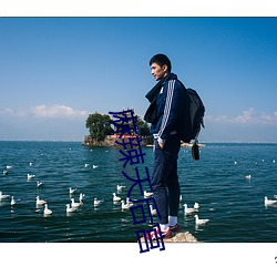 麻辣天(天)后宫(宮)